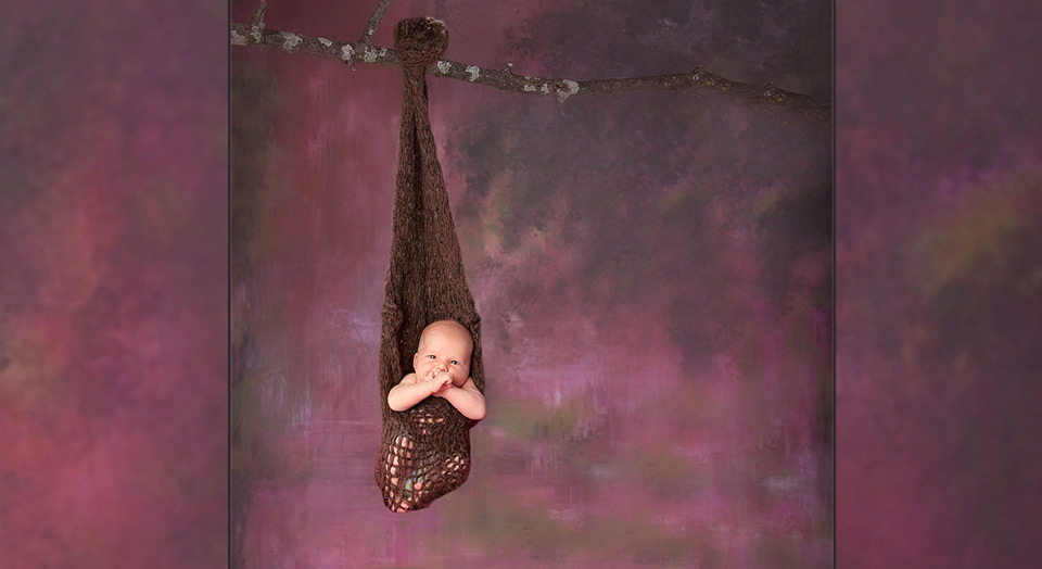 Creative Newborn photography of a baby hanging on a tree branch on an abstract brush stroke background